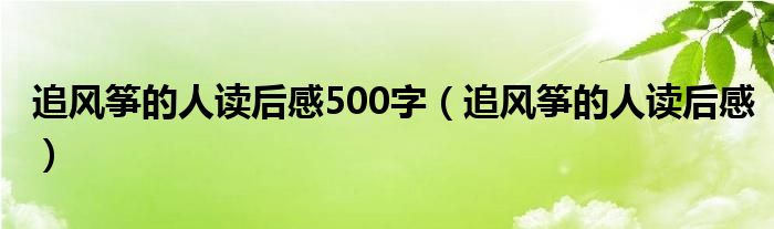 追风筝的人读后感500字（追风筝的人读后感）