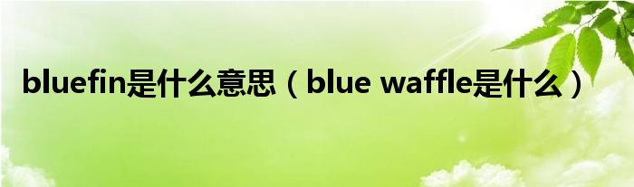 bluefin是什么意思（blue waffle是什么）