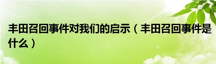 丰田召回事件对我们的启示(丰田召回事件是什么)