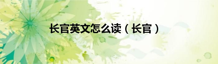 长官英文怎么读(长官)