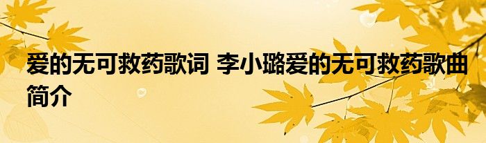 爱的无可救药歌词 李小璐爱的无可救药歌曲简介