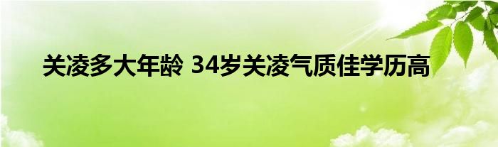关凌多大年龄 34岁关凌气质佳学历高