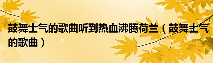 鼓舞士气的歌曲听到热血沸腾荷兰(鼓舞士气的歌曲)