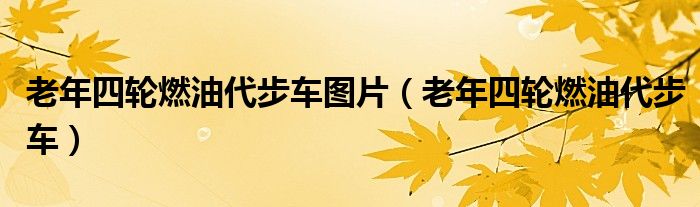 老年四轮燃油代步车图片(老年四轮燃油代步车)