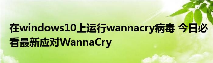 在windows10上运行wannacry病毒 今日必看最新应对WannaCry