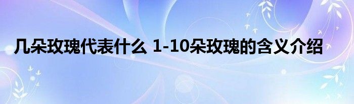 几朵玫瑰代表什么 1-10朵玫瑰的含义介绍