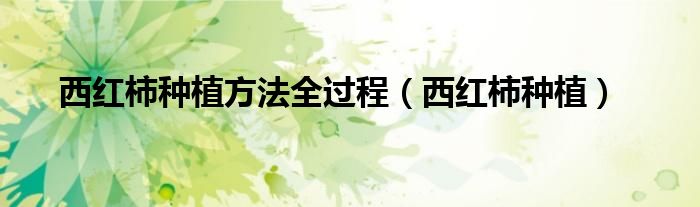 西红柿种植方法全过程（西红柿种植）