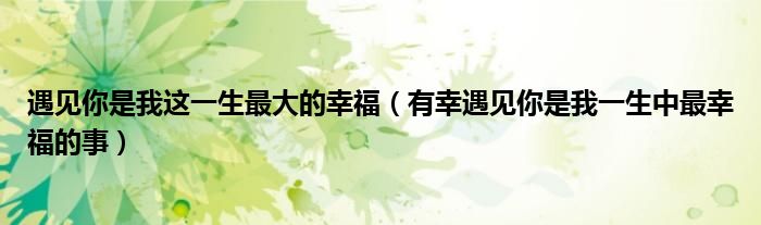 遇见你是我这一生最大的幸福(有幸遇见你是我一生中最幸福的事)