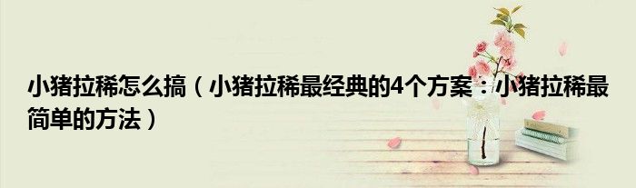 小猪拉稀怎么搞(小猪拉稀最经典的4个方案:小猪拉稀最简单的方法)