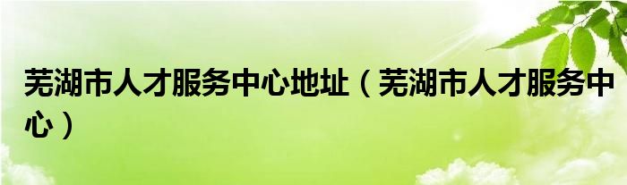 芜湖市人才服务中心地址（芜湖市人才服务中心）