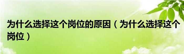 为什么选择这个岗位的原因（为什么选择这个岗位）