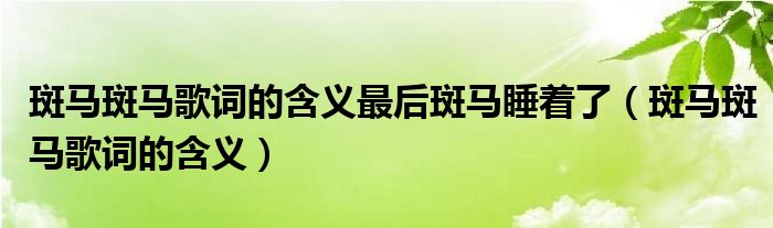 斑马斑马歌词的含义最后斑马睡着了(斑马斑马歌词的含义)