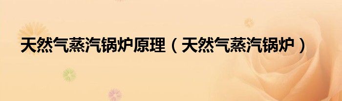 天然气蒸汽锅炉原理(天然气蒸汽锅炉)