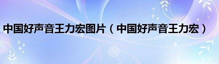 中国好声音王力宏图片(中国好声音王力宏)