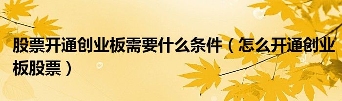 股票开通创业板需要什么条件(怎么开通创业板股票)