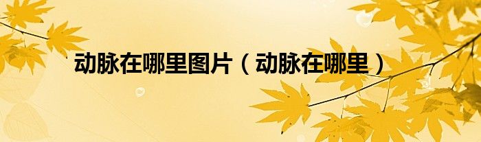 动脉在哪里图片(动脉在哪里)