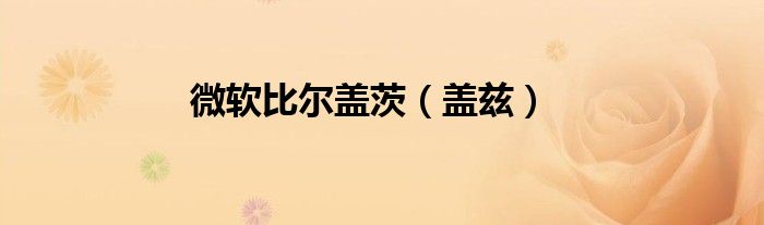 微软比尔盖茨(盖兹)