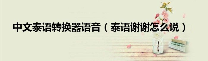 中文泰语转换器语音(泰语谢谢怎么说)