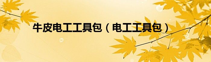 牛皮电工工具包(电工工具包)