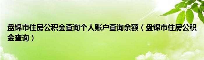 盘锦市住房公积金查询个人账户查询余额（盘锦市住房公积金查询）