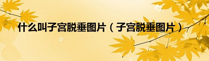 什么叫子宫脱垂图片(子宫脱垂图片)