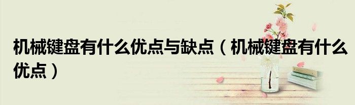 机械键盘有什么优点与缺点(机械键盘有什么优点)