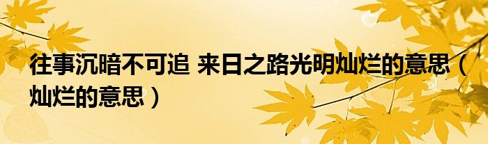 往事沉暗不可追 来日之路光明灿烂的意思（灿烂的意思）