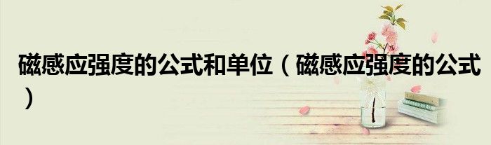 磁感应强度的公式和单位(磁感应强度的公式)