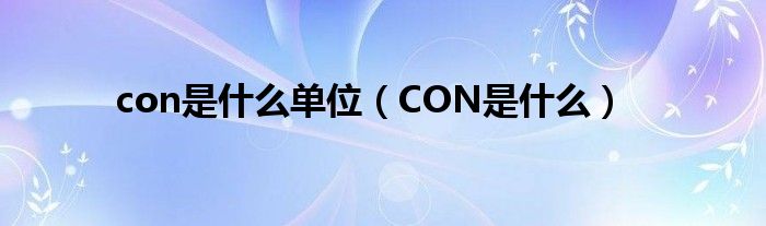 con是什么单位（CON是什么）