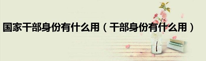 国家干部身份有什么用(干部身份有什么用)