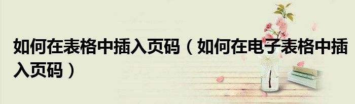 如何在表格中插入页码(如何在电子表格中插入页码)