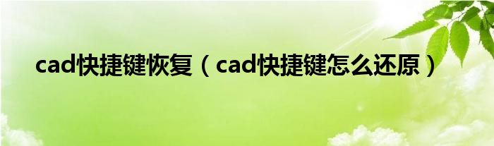 cad快捷键恢复（cad快捷键怎么还原）