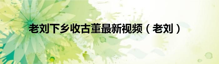 老刘下乡收古董最新视频(老刘)