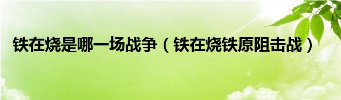 铁在烧是哪一场战争(铁在烧铁原阻击战)