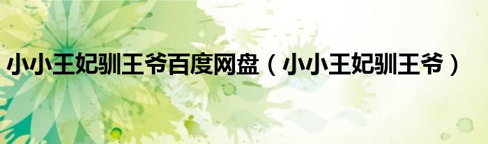 小小王妃驯王爷百度网盘(小小王妃驯王爷)