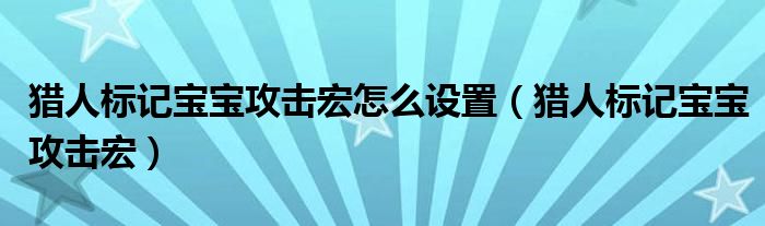 猎人标记宝宝攻击宏怎么设置(猎人标记宝宝攻击宏)