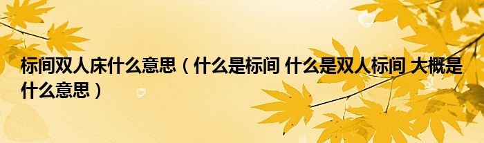 标间双人床什么意思(什么是标间 什么是双人标间 大概是什么意思)