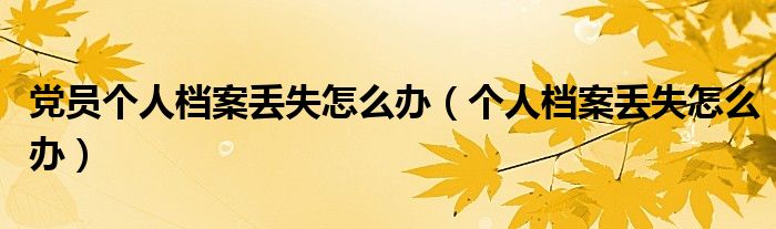 党员个人档案丢失怎么办(个人档案丢失怎么办)