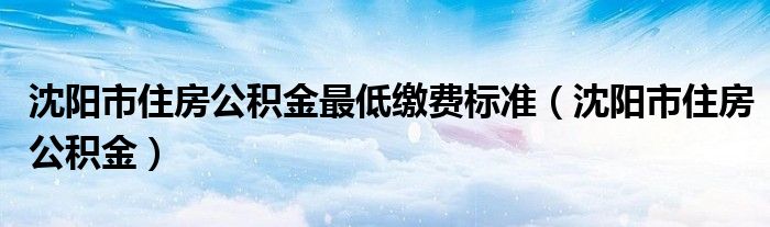 沈阳市住房公积金最低缴费标准(沈阳市住房公积金)