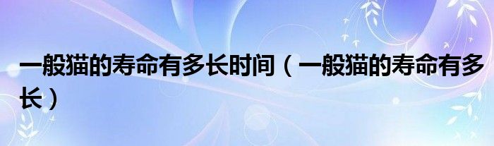 一般猫的寿命有多长时间(一般猫的寿命有多长)