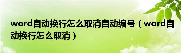 word自动换行怎么取消自动编号(word自动换行怎么取消)