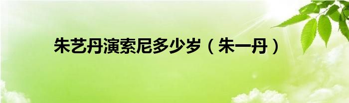 朱艺丹演索尼多少岁(朱一丹)
