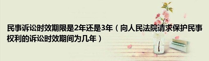 民事诉讼时效期限是2年还是3年(向人民法院请求保护民事权利的诉讼时效期间为几年)