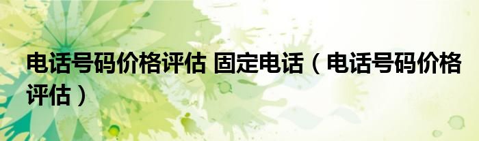 电话号码价格评估 固定电话(电话号码价格评估)