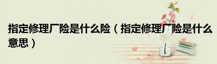 指定修理厂险是什么险(指定修理厂险是什么意思)