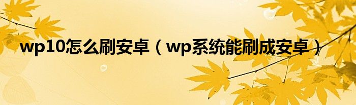 wp10怎么刷安卓(wp系统能刷成安卓)