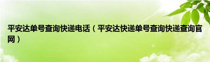 平安达单号查询快递电话(平安达快递单号查询快递查询官网)