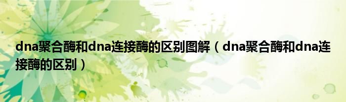 dna聚合酶和dna连接酶的区别图解(dna聚合酶和dna连接酶的区别)