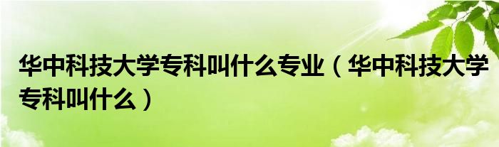 华中科技大学专科叫什么专业（华中科技大学专科叫什么）