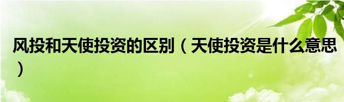 风投和天使投资的区别(天使投资是什么意思)